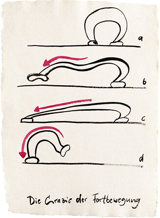 Grazie &ndash; 2019, Tusche auf Papier, 75x55 cm